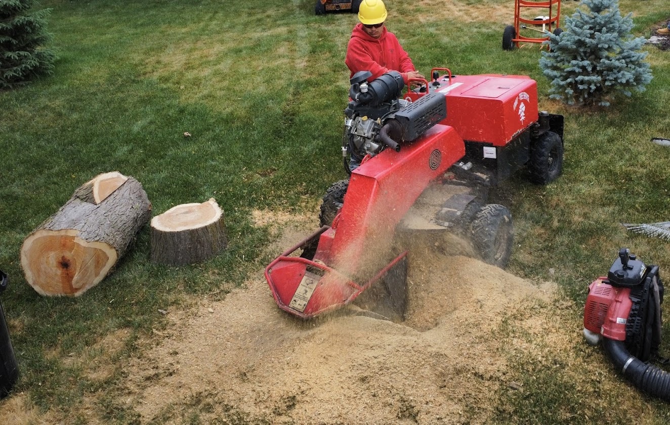 Stump Grinding — Omaha, NE