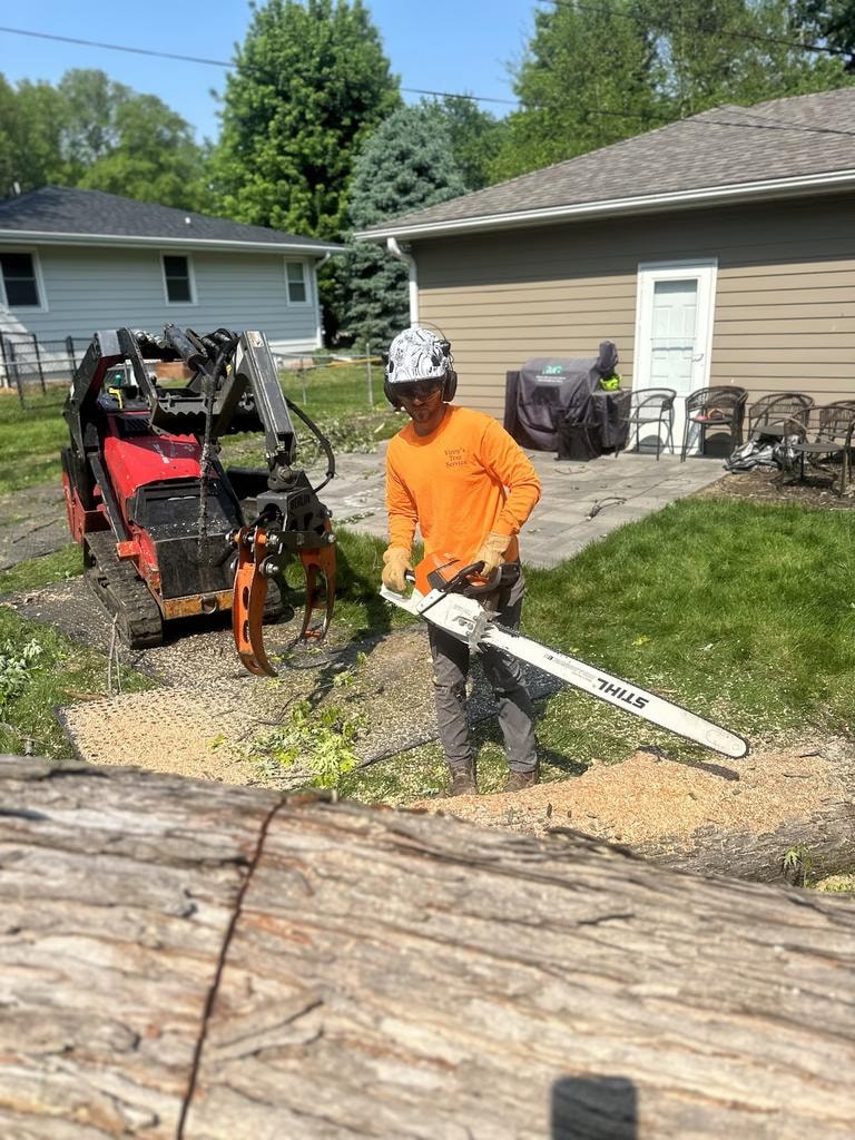 Vinny's Tree Service crew member operating chainsaw during tree removal in Omaha, NE