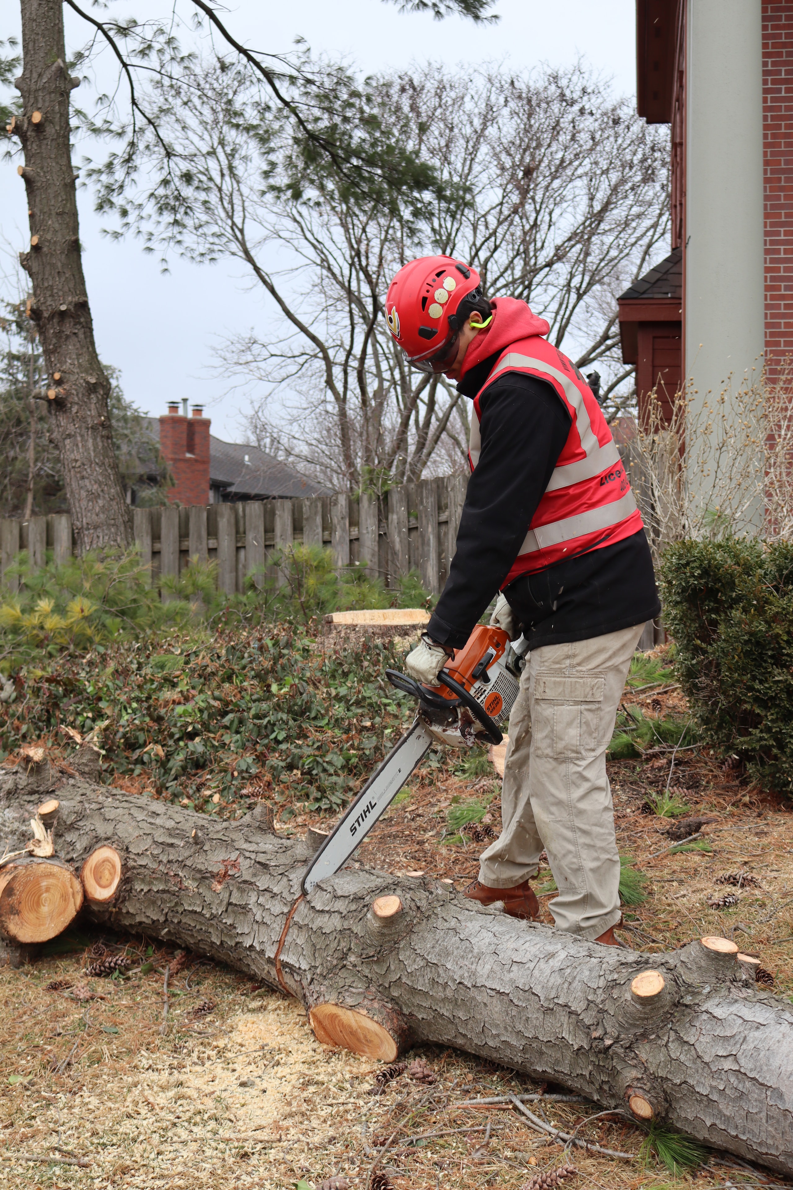 5 Signs Your Omaha Trees Need Attention Before Summer Ends