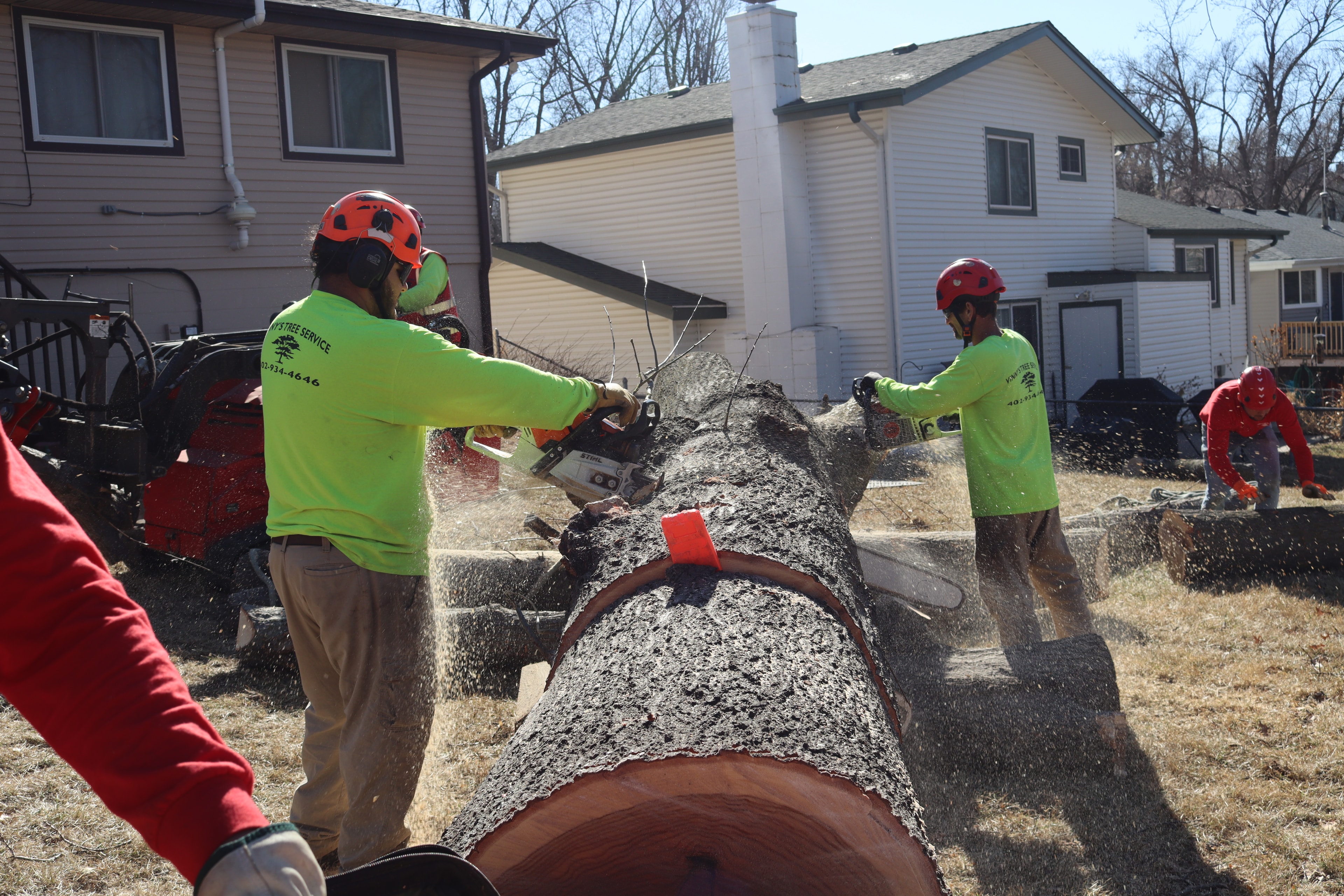 Three Vinny's Tree Service crew members in green shirts chainsawing massive fallen tree trunk with sawdust flying
