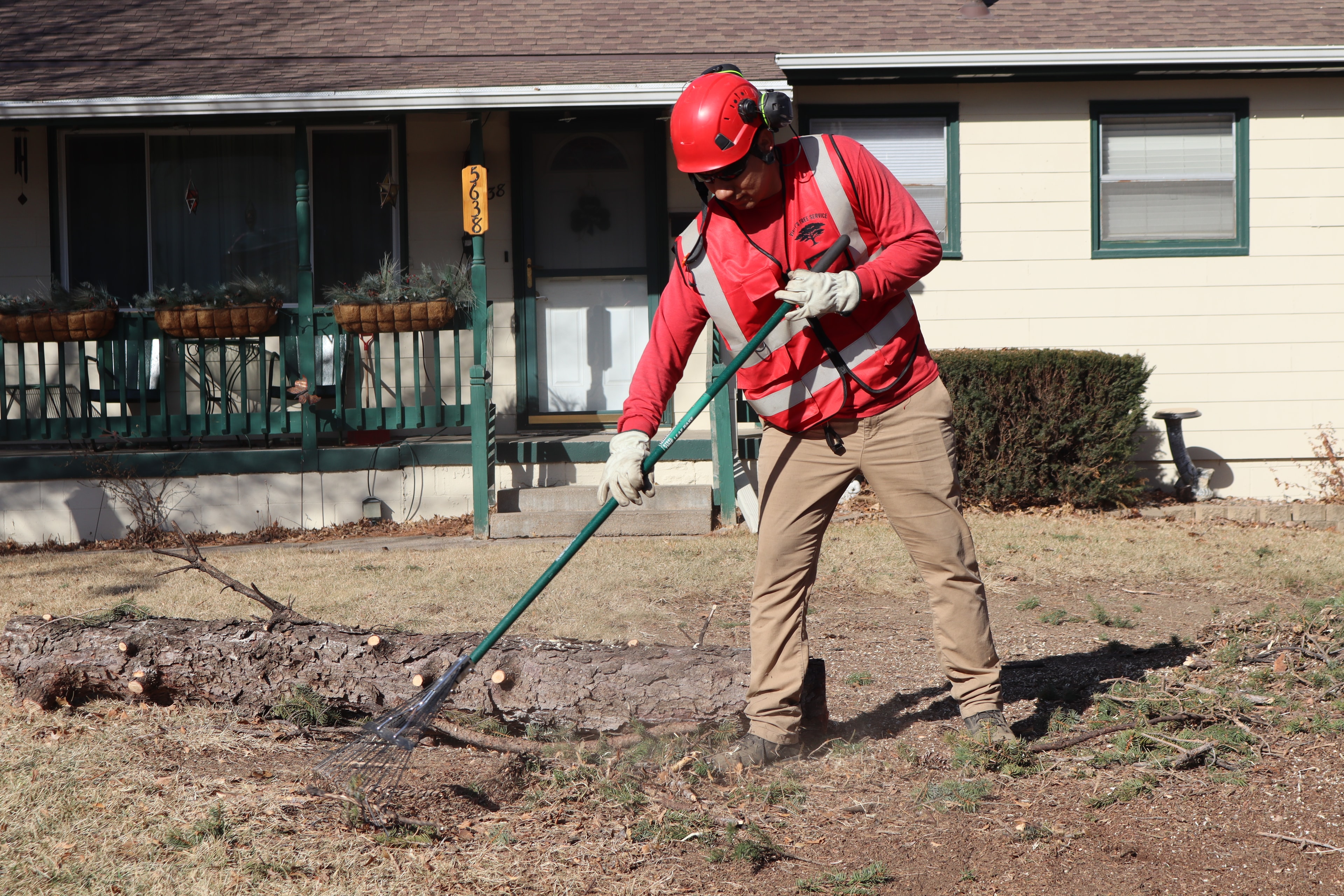 Vinny's Tree Service crew member in red safety gear raking debris in front yard after tree removal