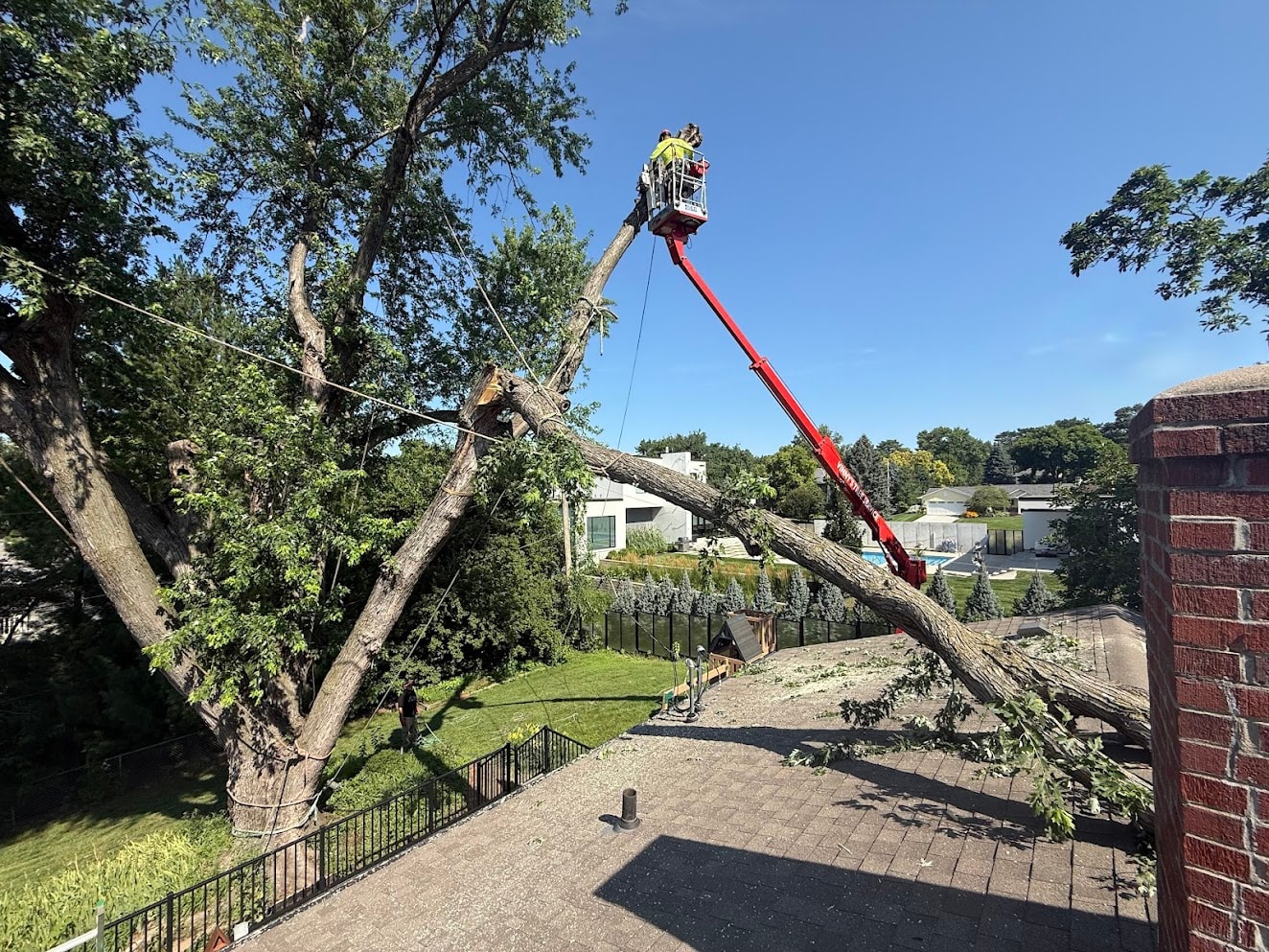 Vinny's Tree Service crew rigging and removing large tree with crane and chipper on sunny day