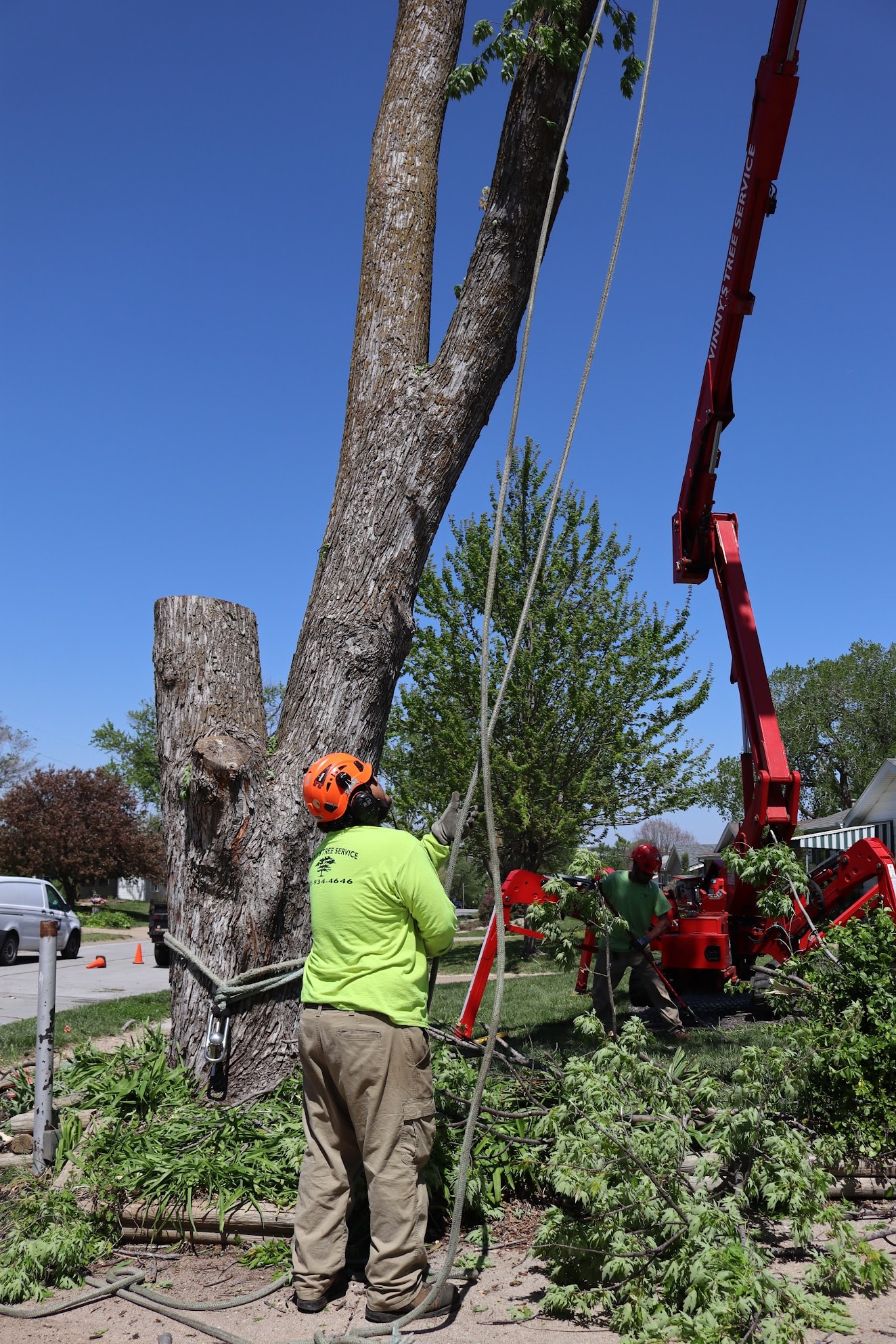Vinny's Tree Service crew using aerial lift to remove large storm-damaged tree leaning over rooftop