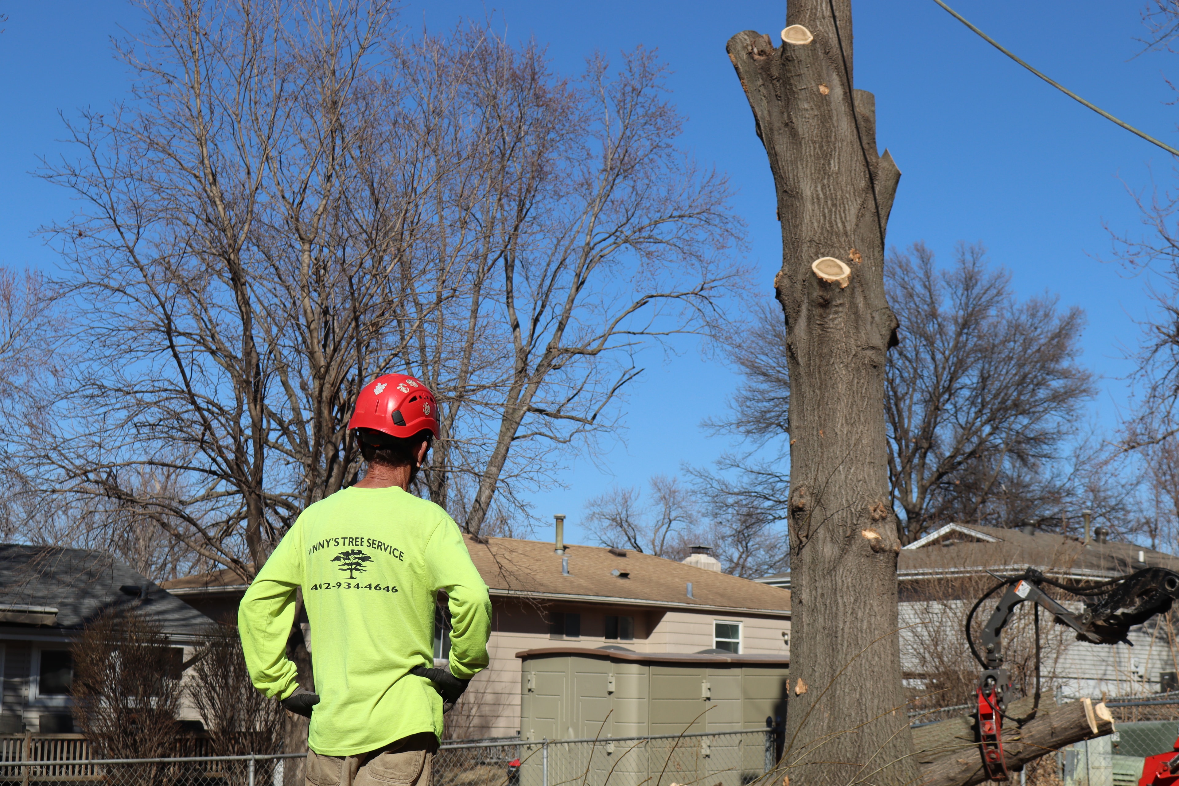 Vinny's Tree Service crew member in branded green shirt supervising skid steer tree removal operation